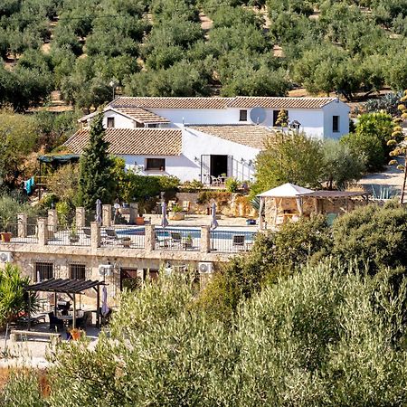 Hacienda La Buena Vida B&B En Appartementen Casita La Bruja Algarinejo Rum bild