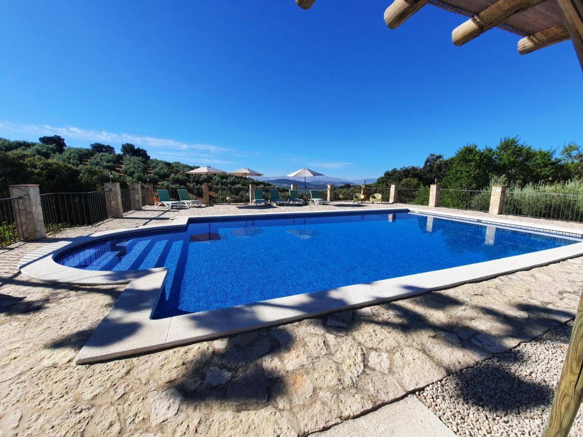 Hacienda La Buena Vida B&B En Appartementen Casita La Bruja Algarinejo Exteriör bild