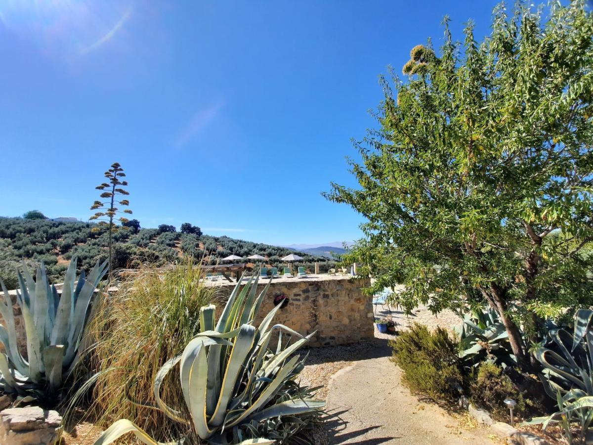 Hacienda La Buena Vida B&B En Appartementen Casita La Bruja Algarinejo Exteriör bild