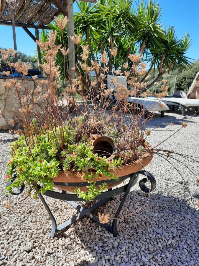 Hacienda La Buena Vida B&B En Appartementen Casita La Bruja Algarinejo Exteriör bild