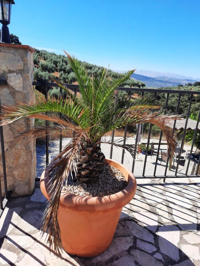 Hacienda La Buena Vida B&B En Appartementen Casita La Bruja Algarinejo Exteriör bild