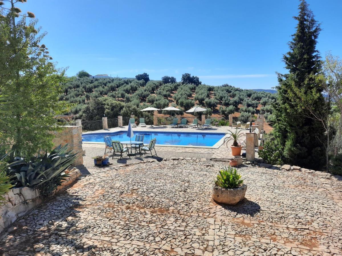 Hacienda La Buena Vida B&B En Appartementen Casita La Bruja Algarinejo Exteriör bild