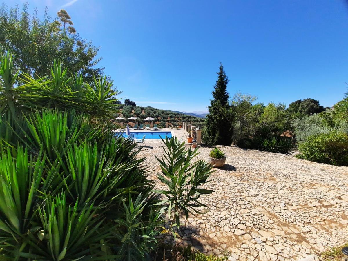 Hacienda La Buena Vida B&B En Appartementen Casita La Bruja Algarinejo Exteriör bild