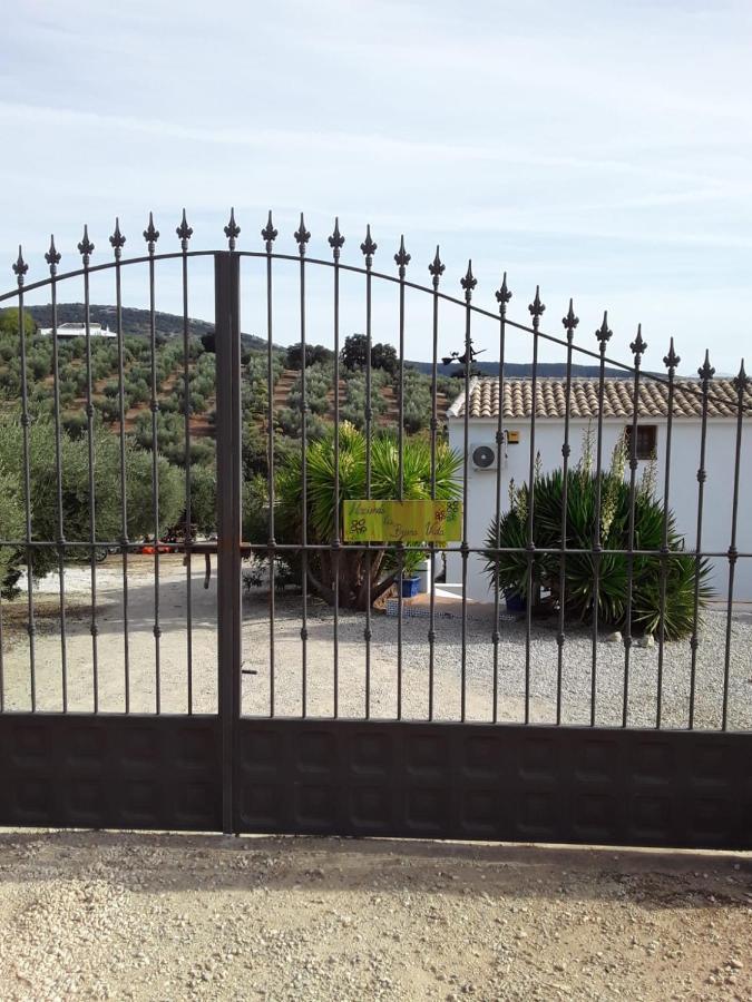 Hacienda La Buena Vida B&B En Appartementen Casita La Bruja Algarinejo Exteriör bild