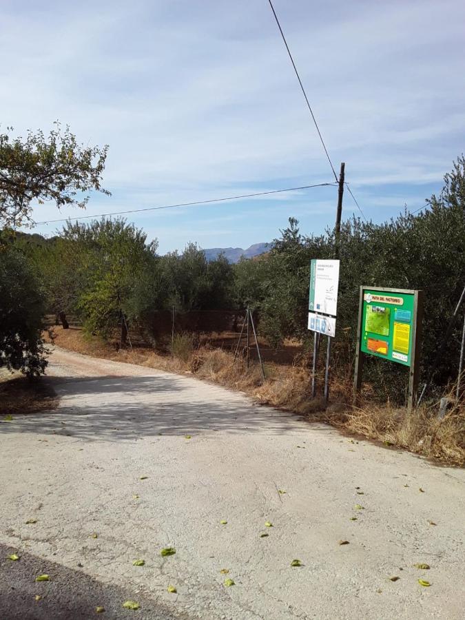 Hacienda La Buena Vida B&B En Appartementen Casita La Bruja Algarinejo Exteriör bild