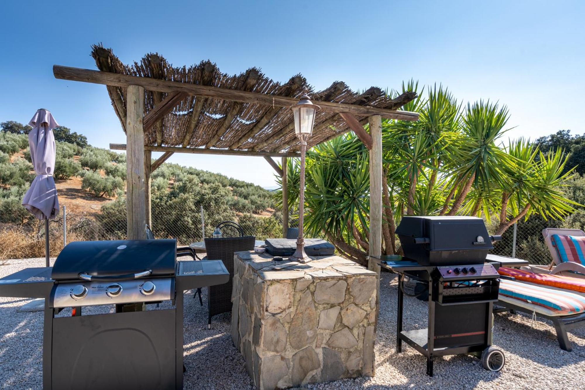 Hacienda La Buena Vida B&B En Appartementen Casita La Bruja Algarinejo Rum bild