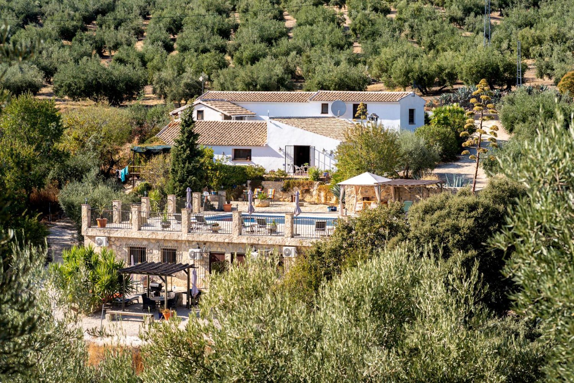 Hacienda La Buena Vida B&B En Appartementen Casita La Bruja Algarinejo Rum bild